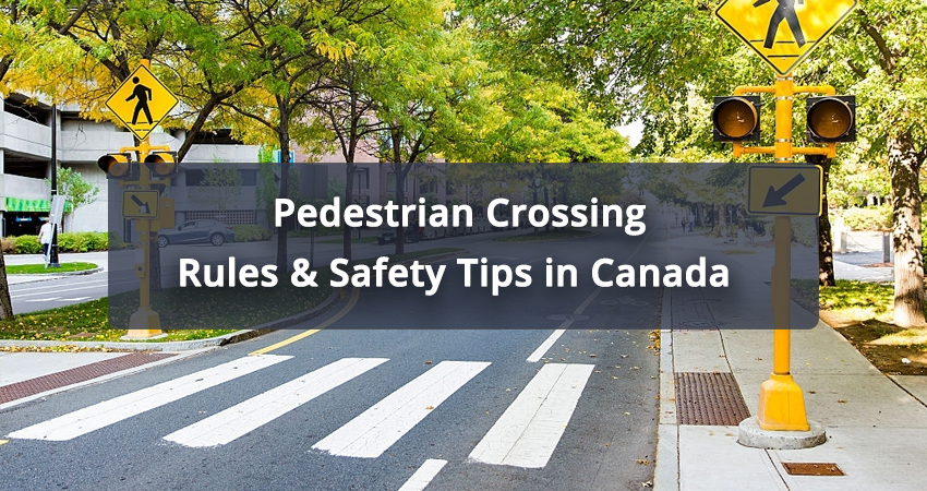 Pedestrian-Crossing-Rules-&-Safety-Tips-in-Canada