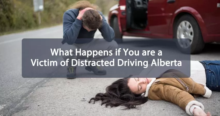 What Happens if You are a Victim of Distracted Driving Alberta Featured Image